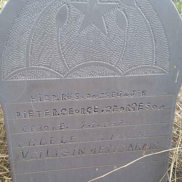 GEORGESON Pieter George 1953-1953