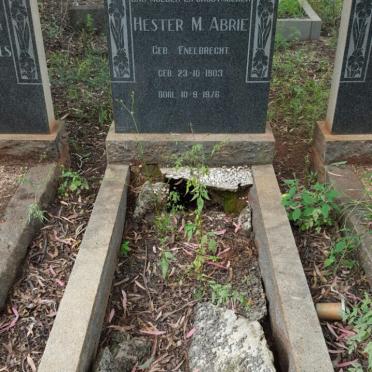 ABRIE Hester M. nee ENELBRECHT 1903-1976