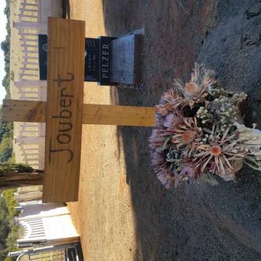 North West, MARICO district, Slurry, Doornplaat 106, Doringplaat, farm cemetery