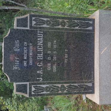 BLIGNAUT J.A.G. 1901-1974