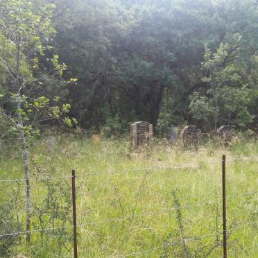 1. Oorsig / Overview