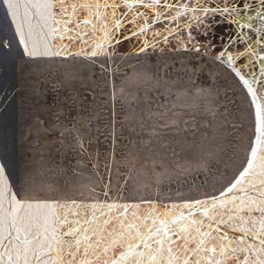 KLEYNHANS Jakobus Filippus Benjamin 1917-1920