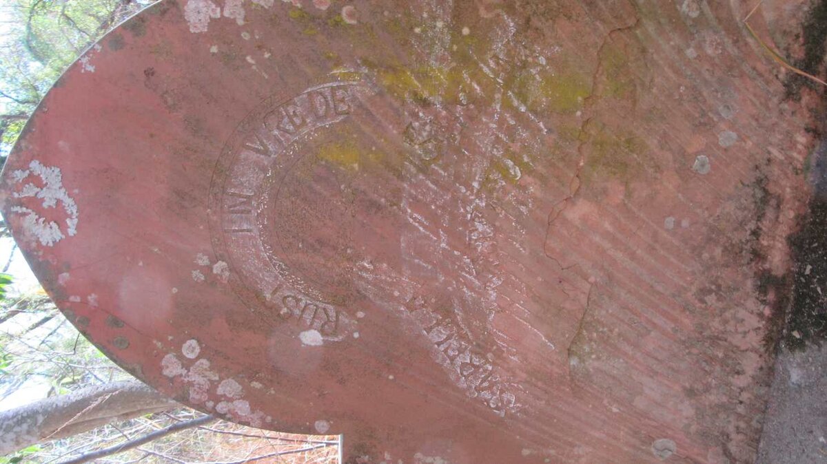 COETZEE Isabella Susanna