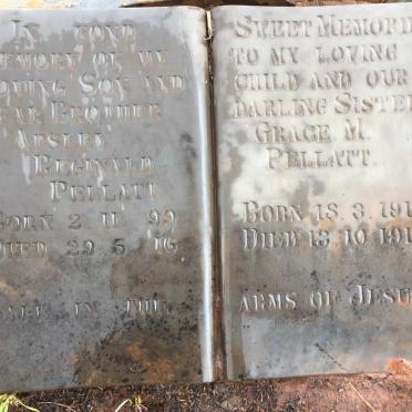 PELLATT Apsley Reginald 1899-1916 :: PELLATT Grace M. 1914-1916