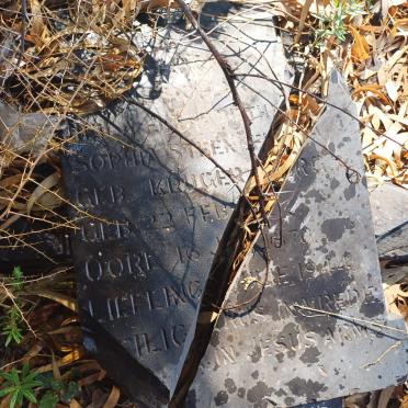 STEENBERG Heila Elezabetha Sophia nee KRUGER 1870-1944