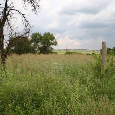 1. Overview on cemetery