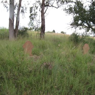 North West, POTCHEFSTROOM district, Parys, Rietpoort 518, farm cemetery_1