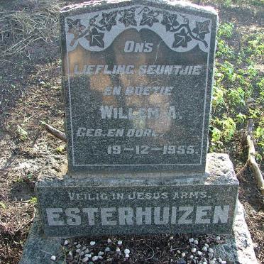 ESTERHUIZEN Willem A. 1955-1955