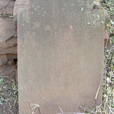 North West, POTCHEFSTROOM district, Leeufontein 485 IQ, farm cemetery