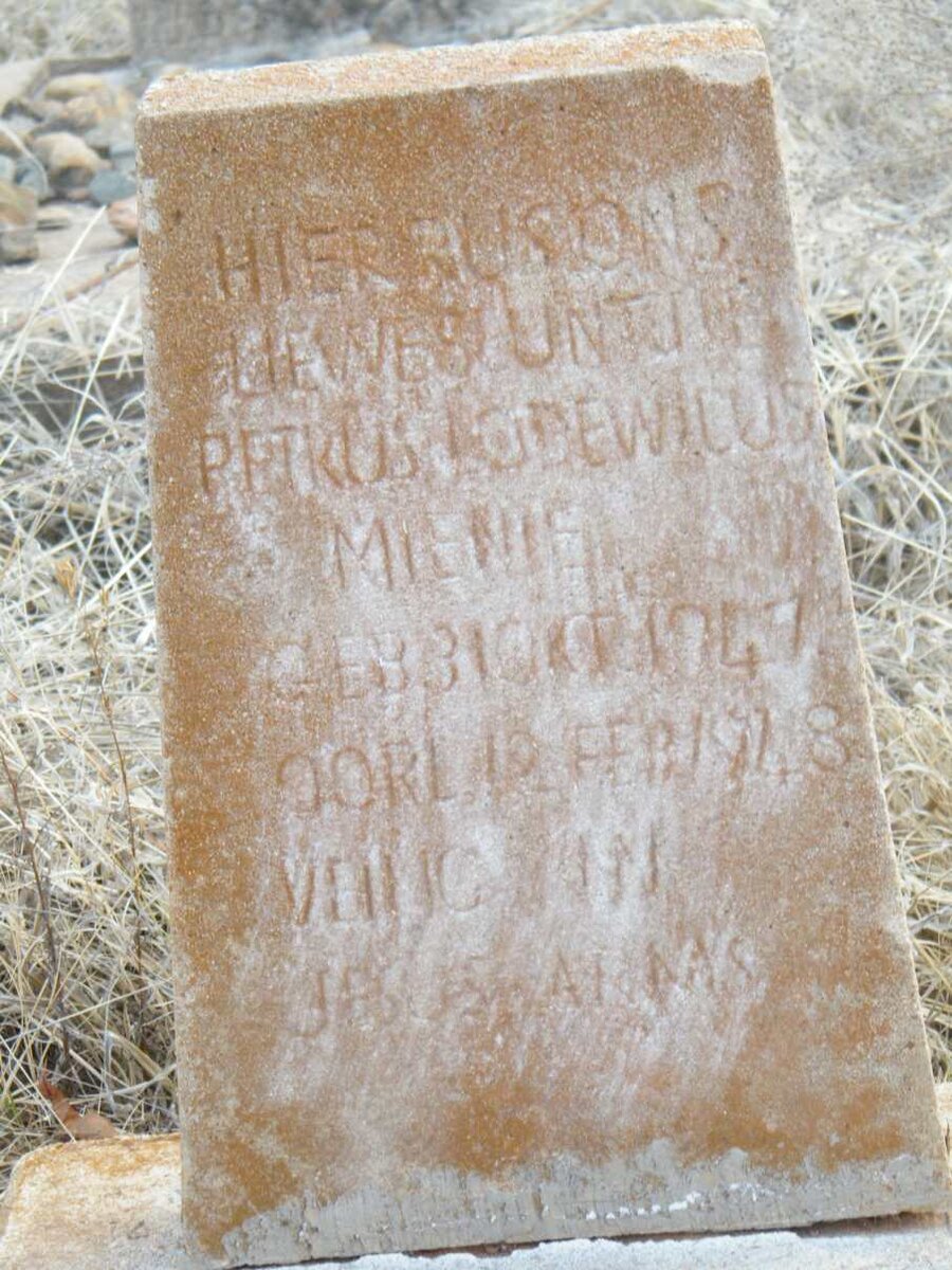 MIENIE Petrus Lodewicus 1947-1948