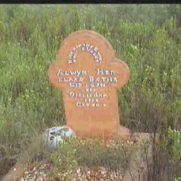 BOTHA Alwyn Herklaas 1883-1934