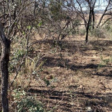 North West, POTCHEFSTROOM district, Kopjeskraal 17, farm cemetery_1, Liebenberg-moorde grafte