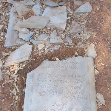 W - Surnames starting with the letter W