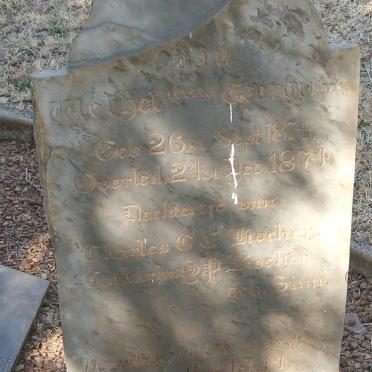 ROCHER Wilhemina Georgina 1874-1874