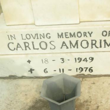 Am - Surnames starting with the letters Am