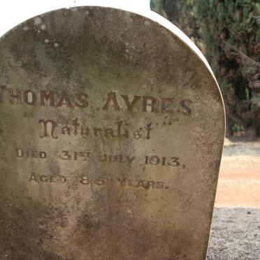 A - Surnames :: Vanne - A