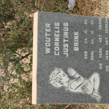 BRINK Wouter Cornelis Justinus 1980-1980
