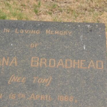 BROADHEAD Adiana nee TOM 1885-1958