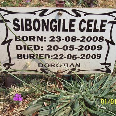 CELE Sibongile 2008-2009