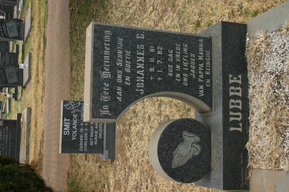 LUBBE Johannes C. 1981-1982
