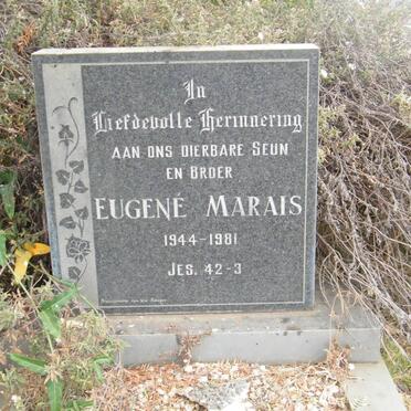 MARAIS Eugené 1944-1981