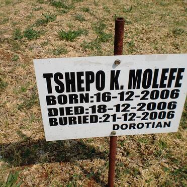 MOLEFE Tshepo K. 2006-2006