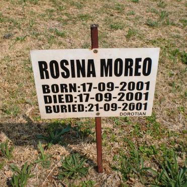 MOREO Rosina 2001-2001