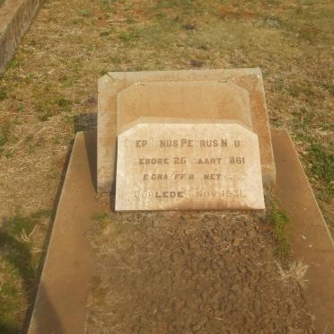 NAUDE Stephanus Petrus 1861-1931