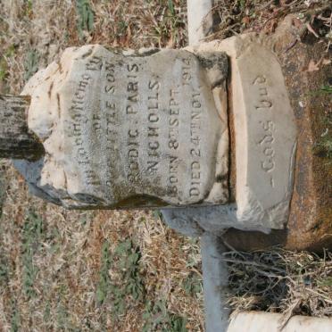 NICHOLLS Rodic Paris 1914-1914