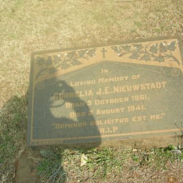 NIEUWSTADT Cornelia J.E. 1861-1941