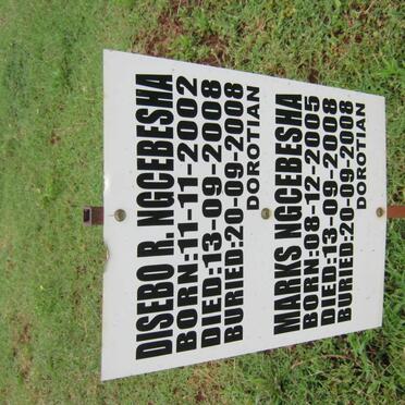 NGCEBESHA Disebo R. 2002-2008 :: NGCEBESHA Marks 2005-2008