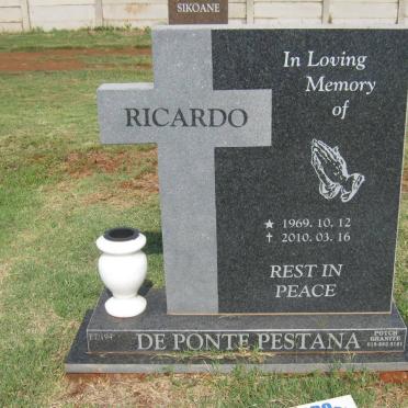 PESTANA Ricardo, de ponte 1969-2010