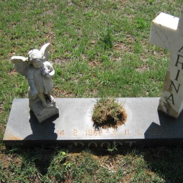 ROODT Marina 1962-1995