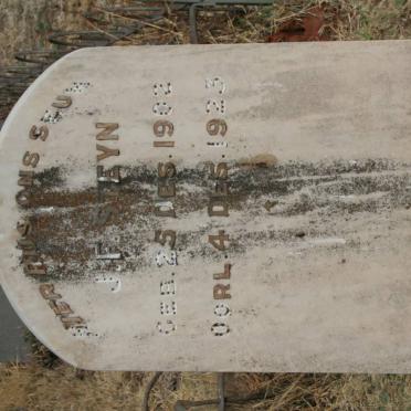 STEYN J.F. 1902-1923