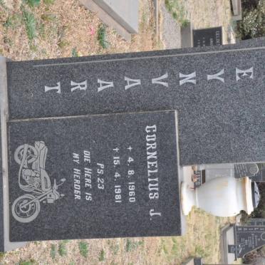 STEYNVAART Cornelius J. 1960-1981