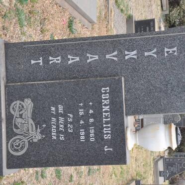 STEYNVAART Cornelius J. 1960-1981