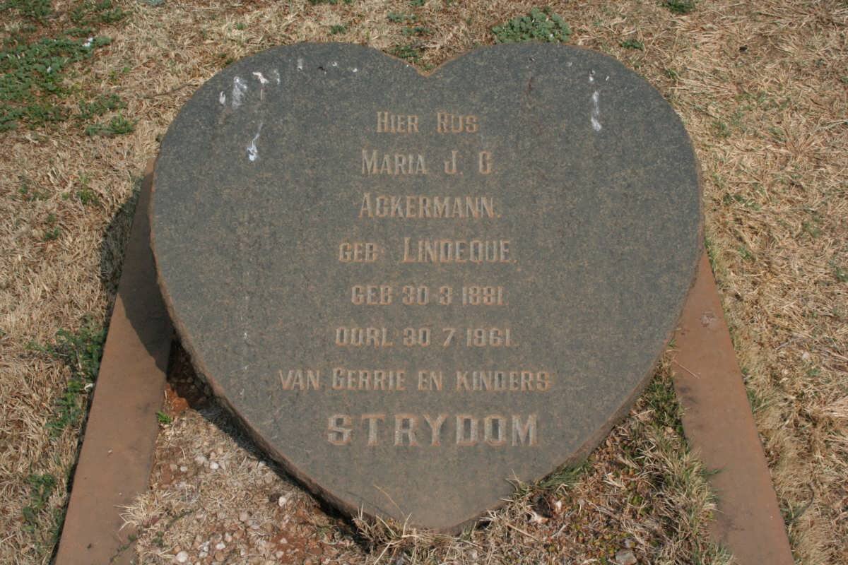 STRYDOM Maria J.C. voorheen ACKERMANN nee LINDEQUE 1881-1961
