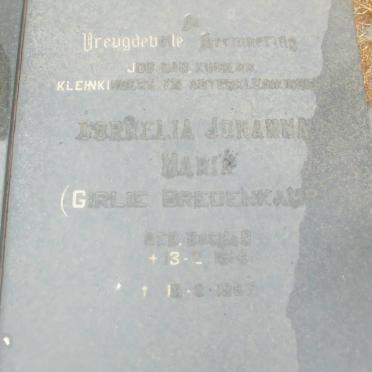SMITH Cornelia Johanna Maria formerly BREDENKAMP nee BOSMAN 1924-19?7