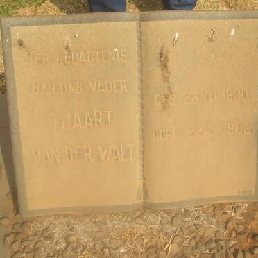 WALT Tjaart, van der 1890-1963