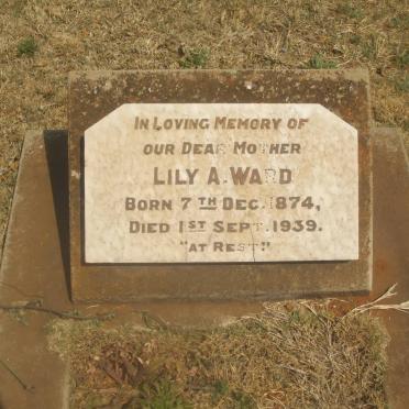 WARD Lily A. 1874-1939