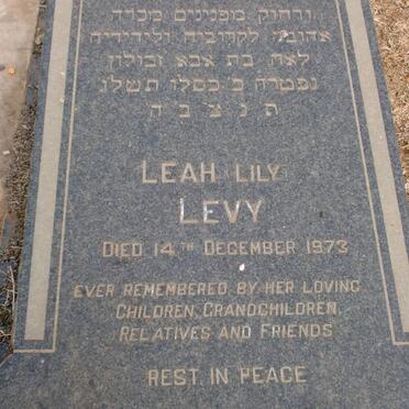 LEVY Leah Lily -1973