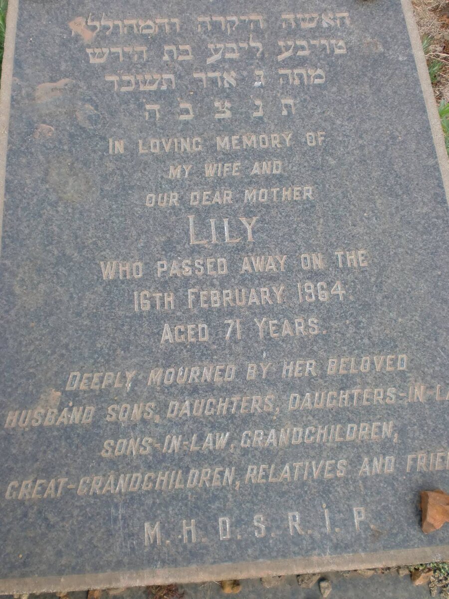 MILLER Lily nee ABELMAN -1964