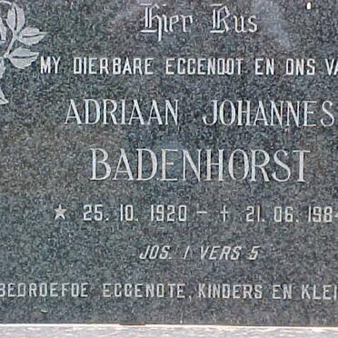 BADENHORST Adriaan Johannes 1920-1984