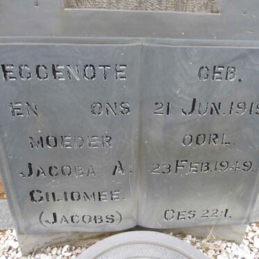 GILIOMEE Jacoba A. nee JACOBS 1919-1949 :: GILIOMEE Johann? M. 19??-1949 _3