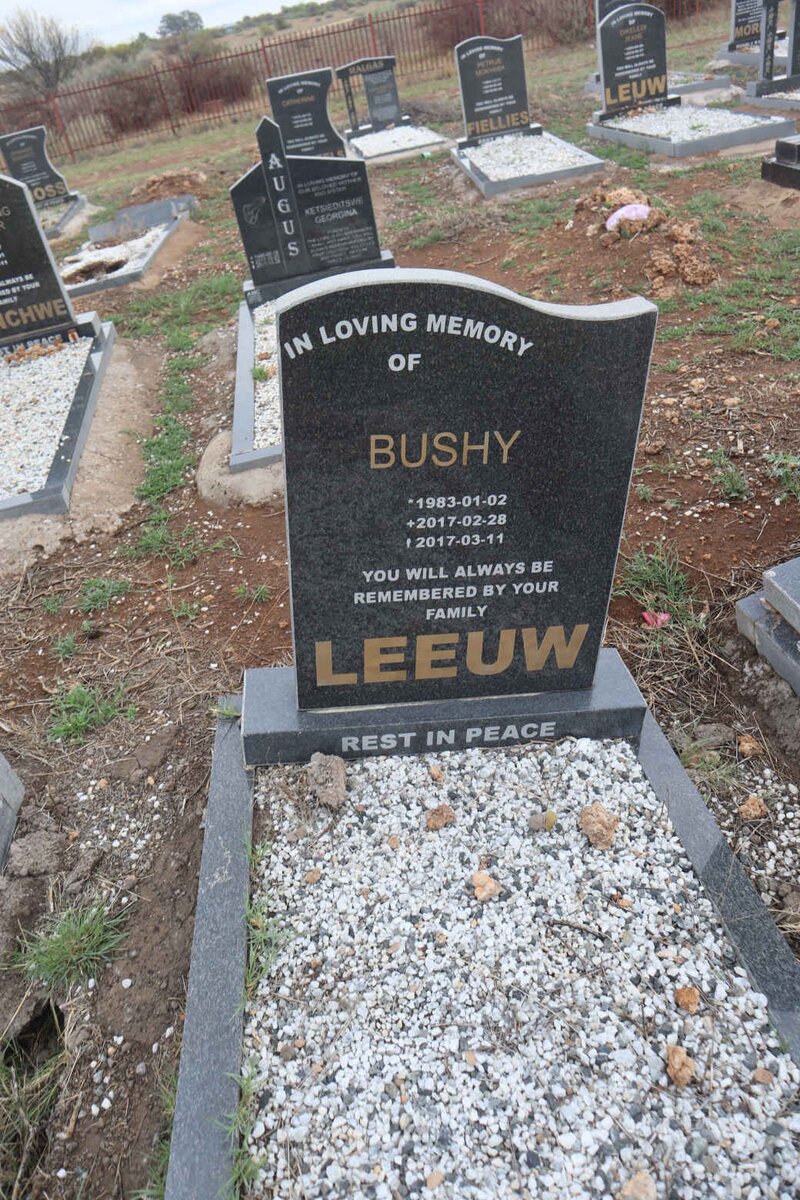 LEEUW Bushy 1983-2017