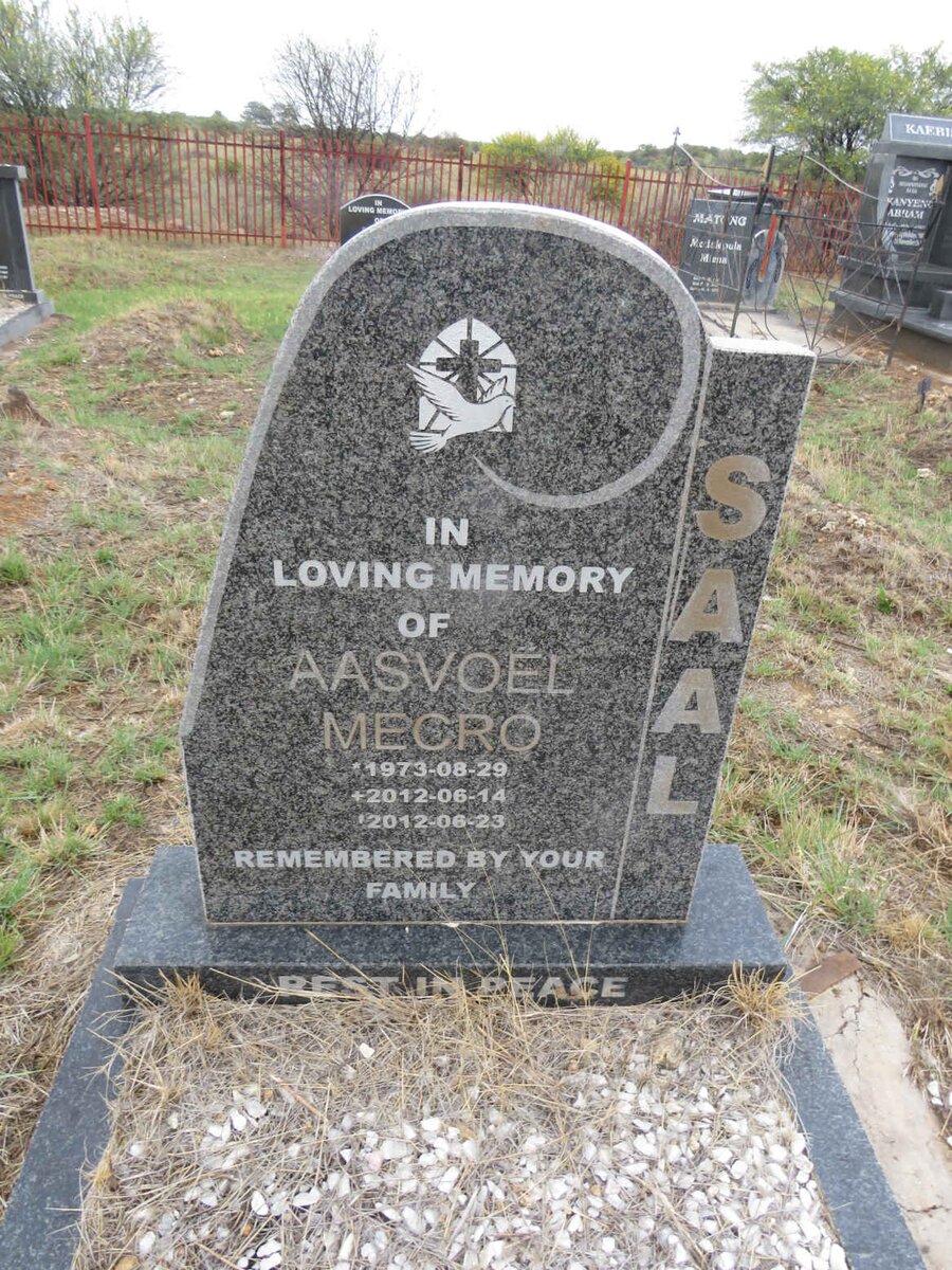 SAAL Aasvoel Mecro 1973-2012