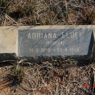 North West, RUSTENBURG district, Kroondal, Waterkloof 305, farm cemetery