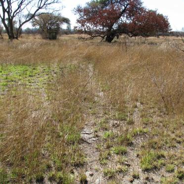 North West, RUSTENBURG district, Marikana, Rooikoppies 297, farm cemetery_13