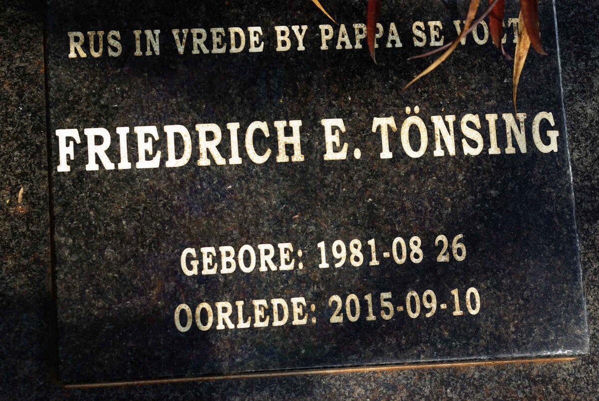 TÖNSING Friedrich E. 1981-2015