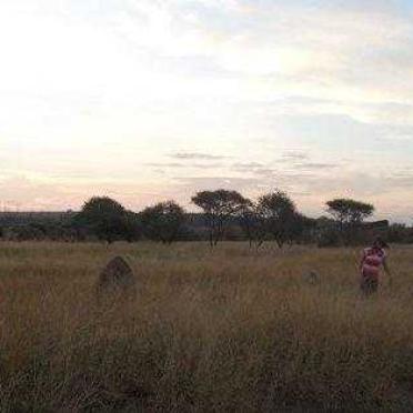 North West, RUSTENBURG district, Mooinooi, Elandsdrift 467 JQ, farm cemetery_3